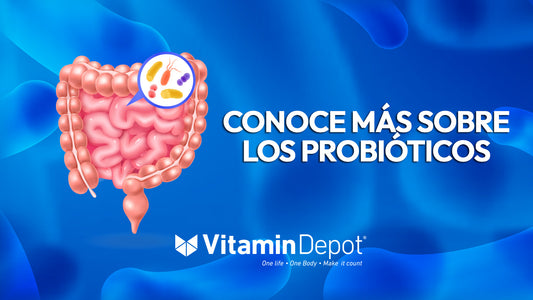 ¿Qué son y para qué nos sirven los Prebióticos, probióticos y post bióticos en nuestro cuerpo?